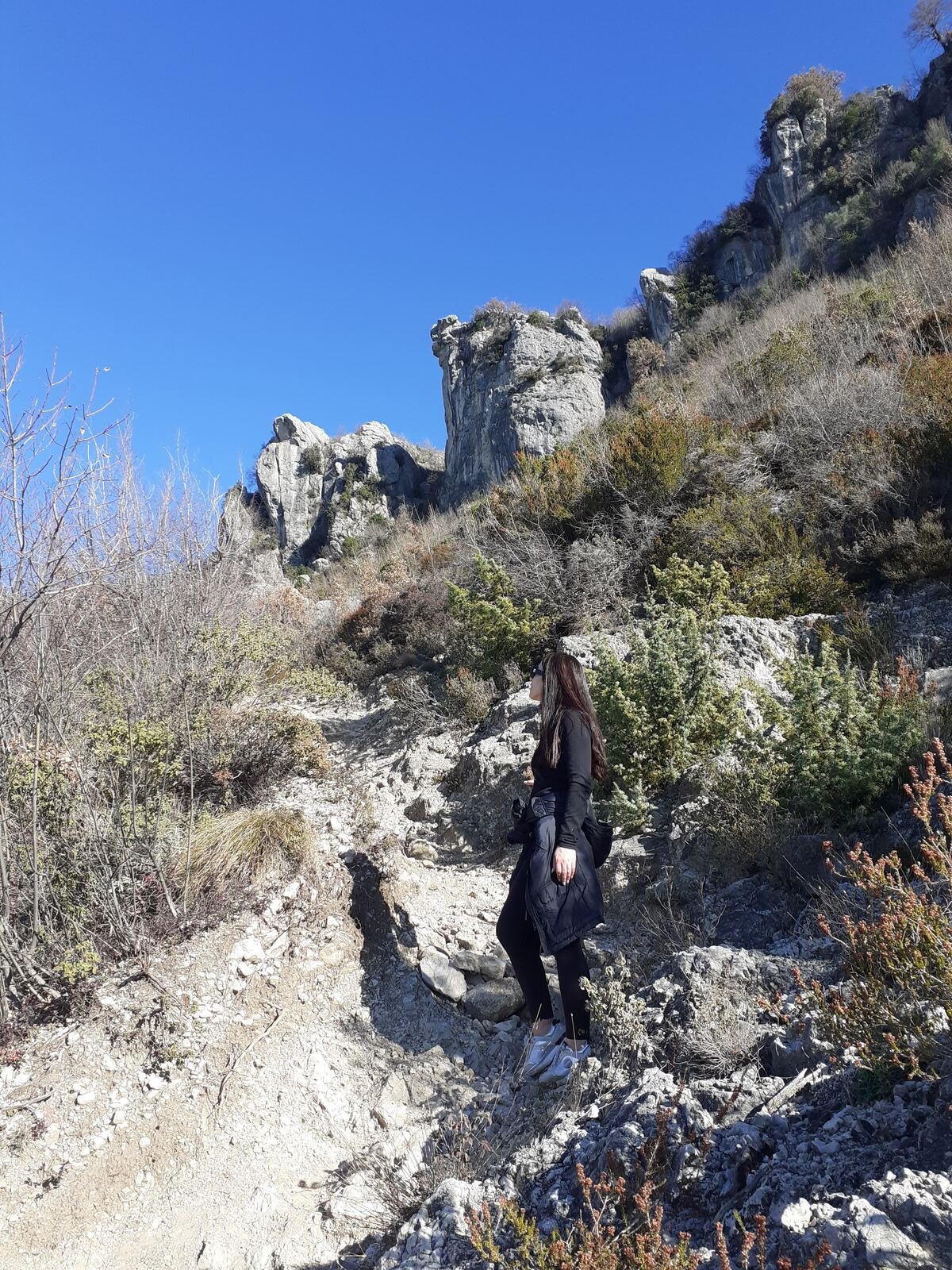 Rugged limestone ridgeline on Brar Mountain